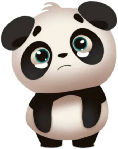 Pin on panda