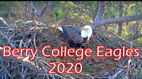 Berry College Eagles 2020 - YouTube