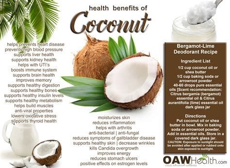 Best Health Benefits of Coconut - OAWHealth