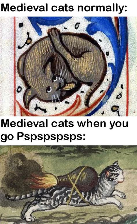 Medieval cats were no different : r/memes