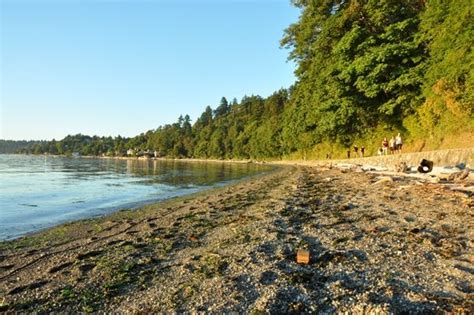 Lincoln Park Beach Lincoln Park Seattle, West Seattle, Puget Sound, Hiking Trails, Towns, River ...