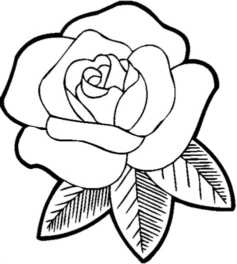 Rose Outline Drawing | Free download on ClipArtMag