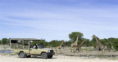 Namibia Safari Tours to Sossusvlei, Etosha and Damaraland