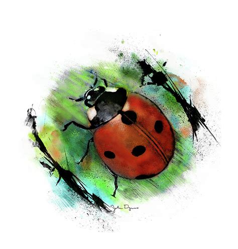 Ladybug Drawing