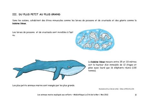 /dossier-les-animaux-marins-expliques-aux-enfants1 by Mediatheque de la mer - Issuu