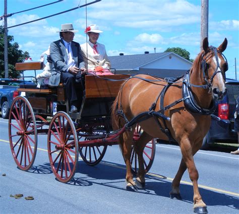 Ronna's Blog: Photo Album: Horse & Buggy Parade