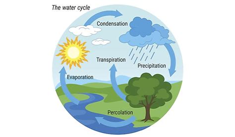 What Is The Hydrologic Cycle? - WorldAtlas.com