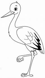 Storch Ausmalen Malvorlage Sketch Coloring Page sketch template
