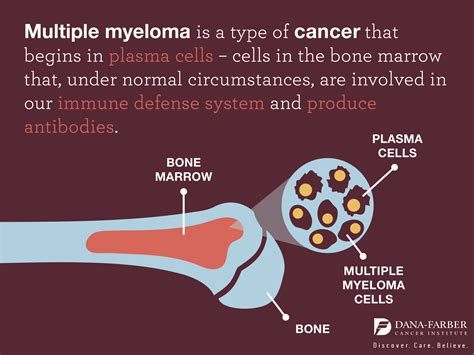 What Are Hematologic Cancers - Peter Brown Bruidstaart