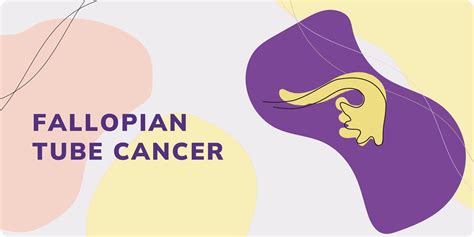 Fallopian Tube Cancer – Australian Gynaecological Cancer Foundation