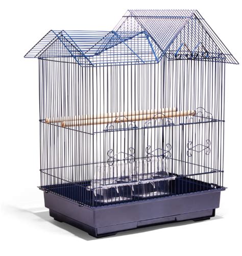 New Pet Guides: Bird | Petco