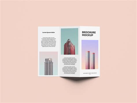 Folded Brochure Mockup PSD - Mockup Hunt