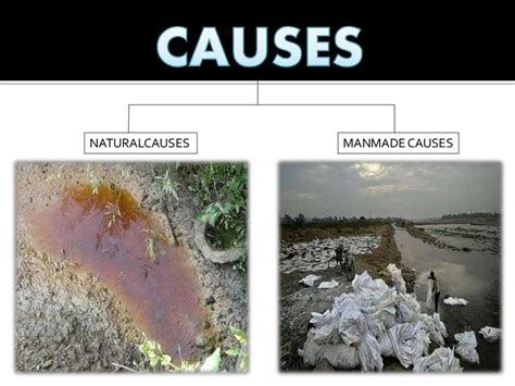 Soil pollution ppt