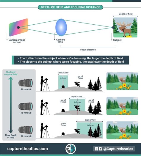Depth Of Field Diagram