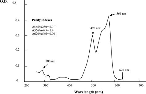 Absorption spectrum of purified R-phycoerythrin. Both the absorption... | Download Scientific ...