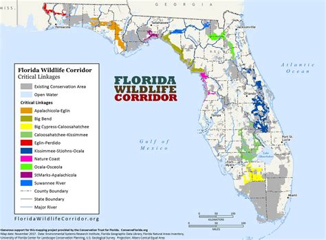 Wildlife corridor plan could boost North Florida land conservation