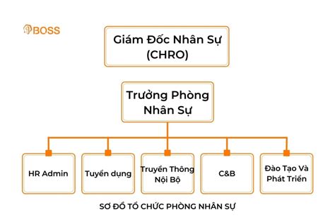 10+ mẫu sơ đồ tổ chức công ty và phòng ban chuyên nghiệp