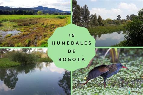 15 humedales de Bogotá - Nombres y características