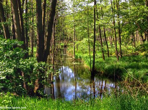 Hiking Germany's Ancient Beech Forests - Luxe Adventure Traveler