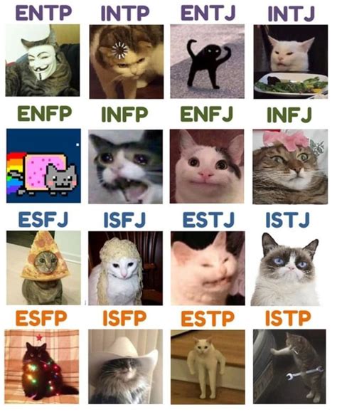 🙌 mbti memes every day on Instagram: “Check who's tagged & follow @mbtimemesdaily for your daily ...