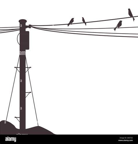 Telegraph pole wires bird Stock Vector Images - Alamy