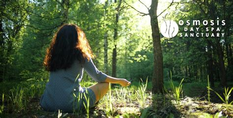 Forest Bathing Spa Meditation Retreat - Osmosis Day Spa Sanctuary