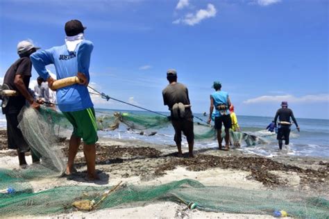 Pangasinan execs protest massive black sand mining in Lingayen Gulf ...