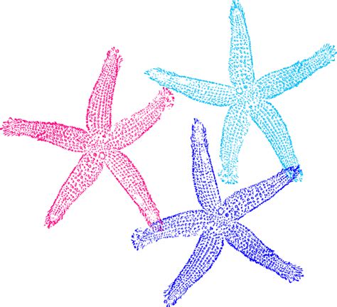 Triple Starfish Colors Clip Art at Clker.com - vector clip art online, royalty free & public domain