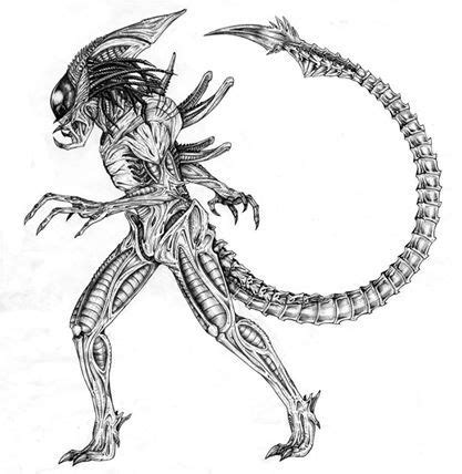 Predalien. #illustration #xenomorph #AVP #pencil #art Aliens, Alien Covenant, Predator Alien ...