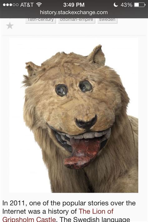 Bad Taxidermy Lion Meme