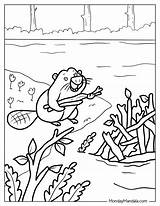 20 Beaver Coloring Pages Free PDF Printables sketch template