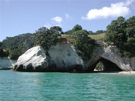 Tourism Spotlight: Coromandel | Study From Home