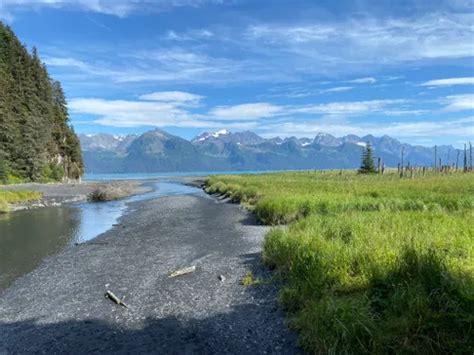 10 Best Trails and Hikes in Seward | AllTrails