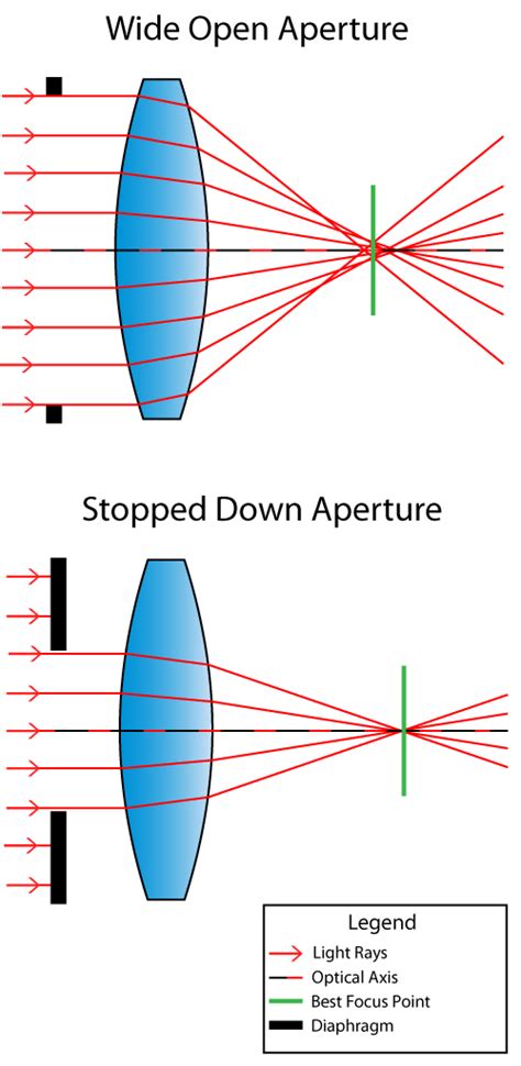 What is Focus Shift? - Photography Life