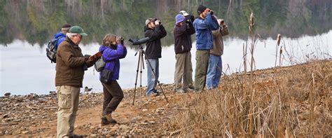 NC Bird Watching Resources | Audubon North Carolina