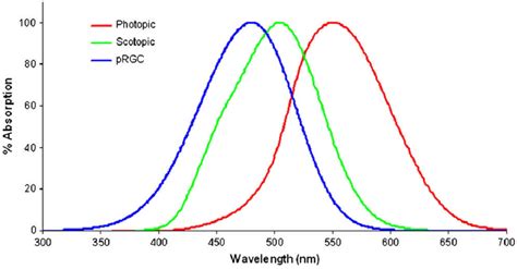 Spectral sensitivity curves for photopic vision, scotopic vision, and... | Download Scientific ...