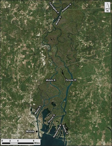 Mobile-Tensaw River Delta between the confluence of the Alabama and ...