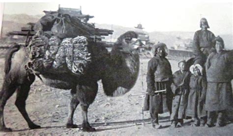 Legendary Tea Roads: The Ancient Tea and Horse Road to Tibet - Tea ...