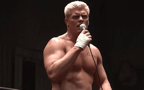 Cody Rhodes Has "No Doubts" About NJPW Being Successful In America