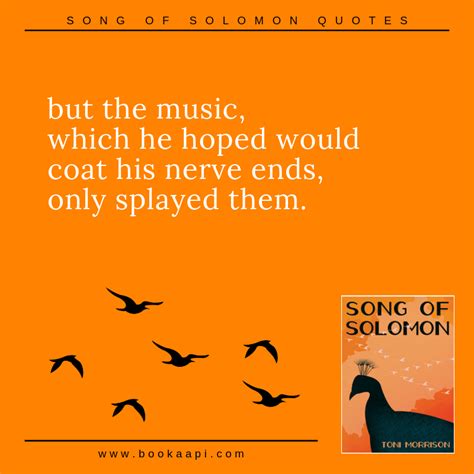 10 Amazing Song of Solomon Quotes by Toni Morrison