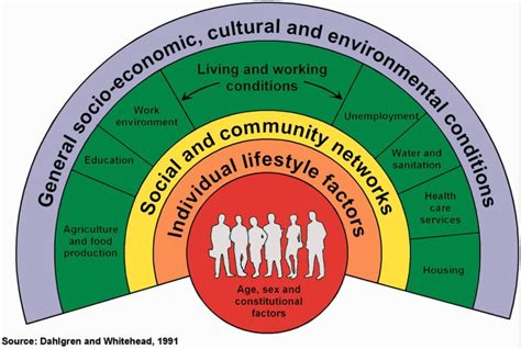 Dahlgren and Whitehead (1991) model of the determinants of health ...