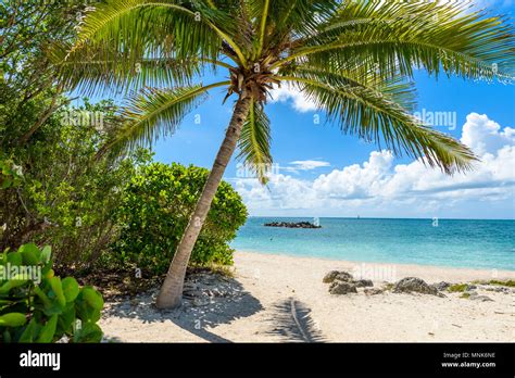 Paradise beach at Fort Zachary Taylor Park, Key West. State Park in Florida, USA Stock Photo - Alamy