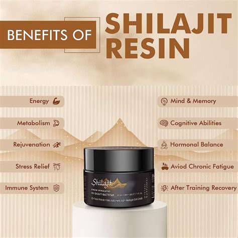 Shilajit Resin Wholesale Guide for Manufacturers | Nutreebio