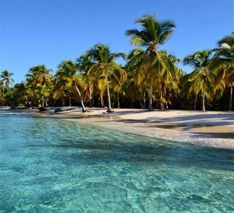 Álbumes 97+ Foto Playa Más Bonita De Costa Rica Mirada Tensa