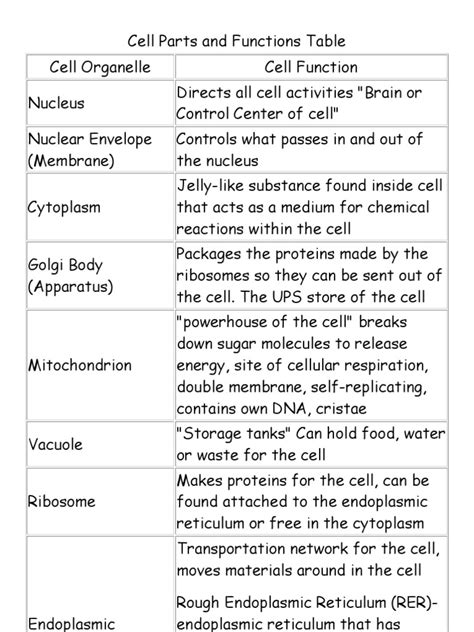 Cell Parts and Functions Table | Endoplasmic Reticulum | Cell (Biology)