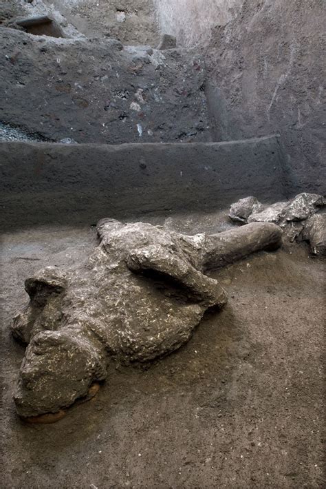 Bodies of man and his slave unearthed from ashes at Pompeii