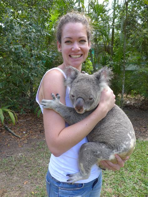 Will climate change make the koalas' diet inedible?