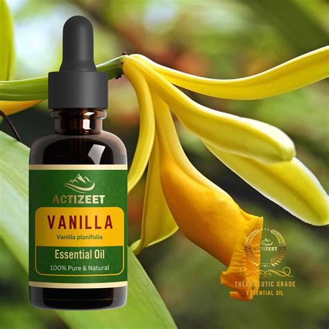 Vanilla Essential Oil | ACTIZEET | 15 ML