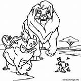 Coloriage Le roi Lion Avec Pumbaa Et Timon  JeColoriecom sketch template