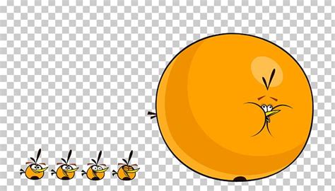 Angry Birds Space Angry Birds Stella Orange Bird PNG, Clipart, Angry ...